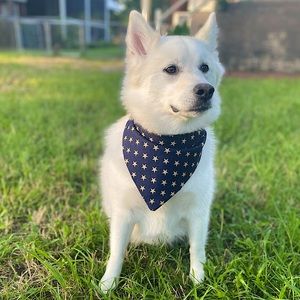 Stars + Stripes Reversible Scrunchie Dog Bandana
